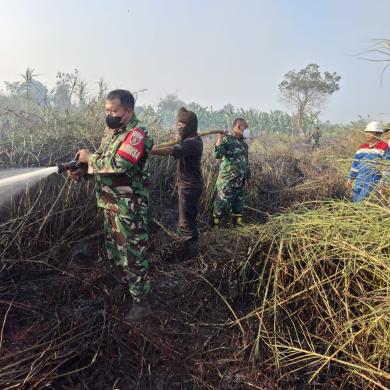 BABINSA SINDANGSARI BERSAMA TIM GABUNGAN SIGAP PADAMKAN KARHUTLA BABINSA SINDANGSARI BERSAMA TIM GABUNGAN SIGAP PADAMKAN KARHUTLA