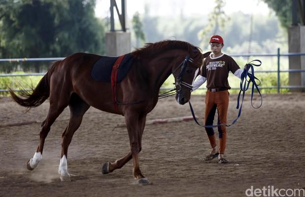 Melihat Pelatihan Kuda di Pulomas